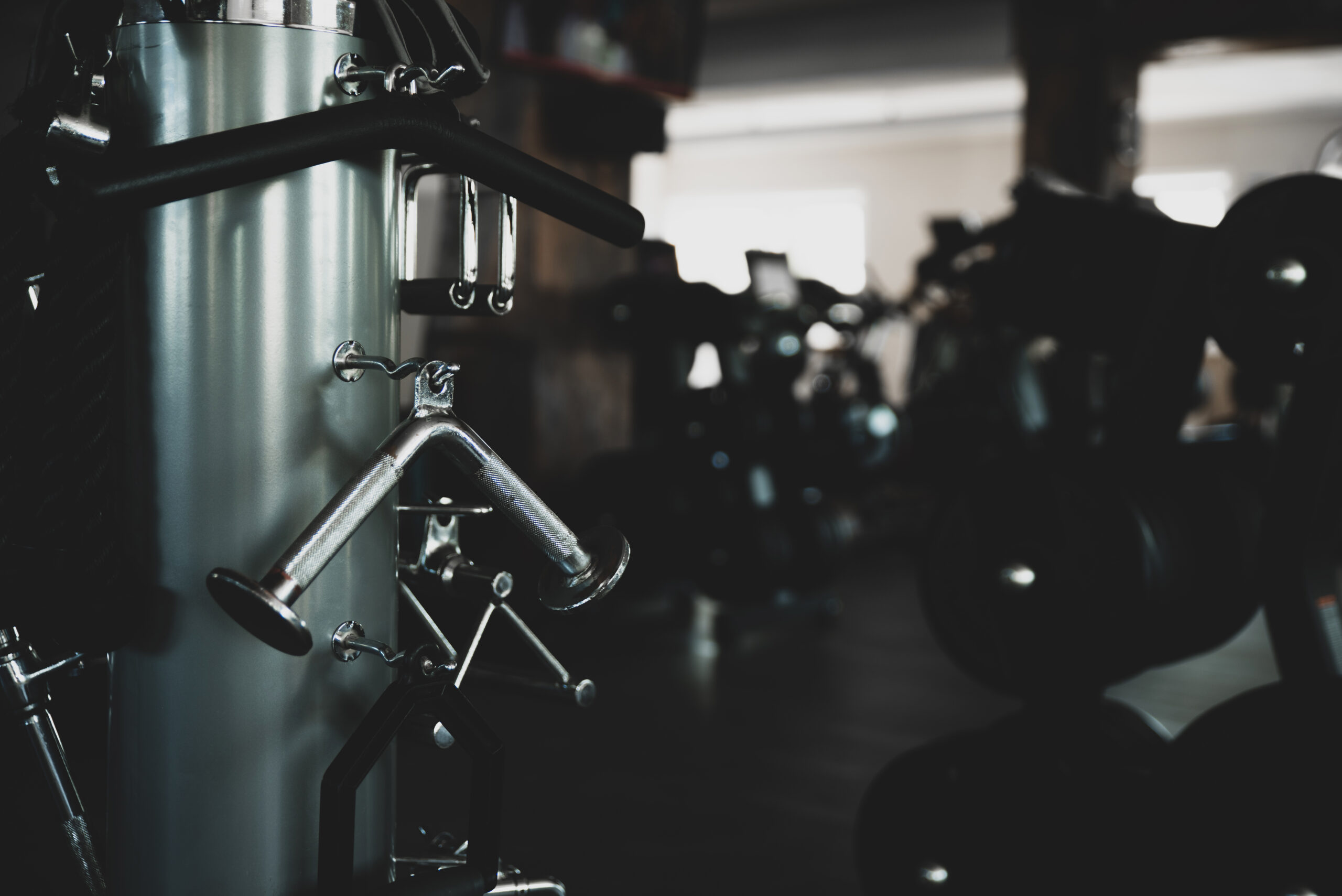Balance_Sport_Altes_Land_Yoga_Geräte_LifeFitness_egym_seca